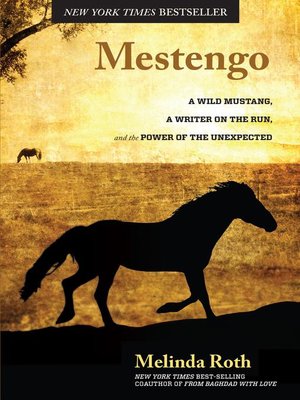 cover image of Mestengo